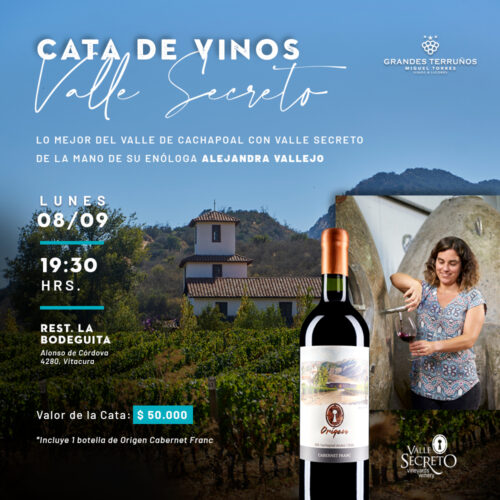 CataValleSecreto2025_1x1