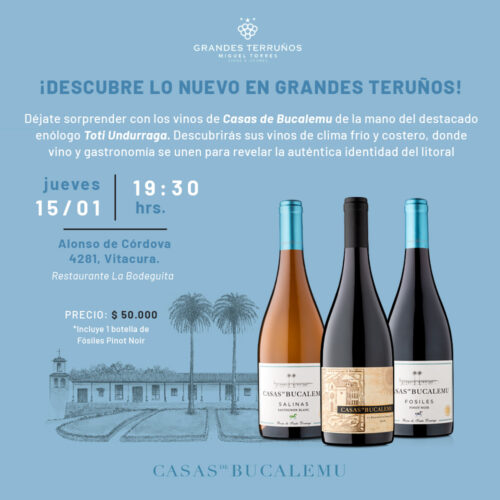 CataCasasDeBucalemu_2025_1x1 CataCasasDeBucalemu_2025_1x1